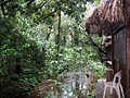 Jungle Palace Palenquessa